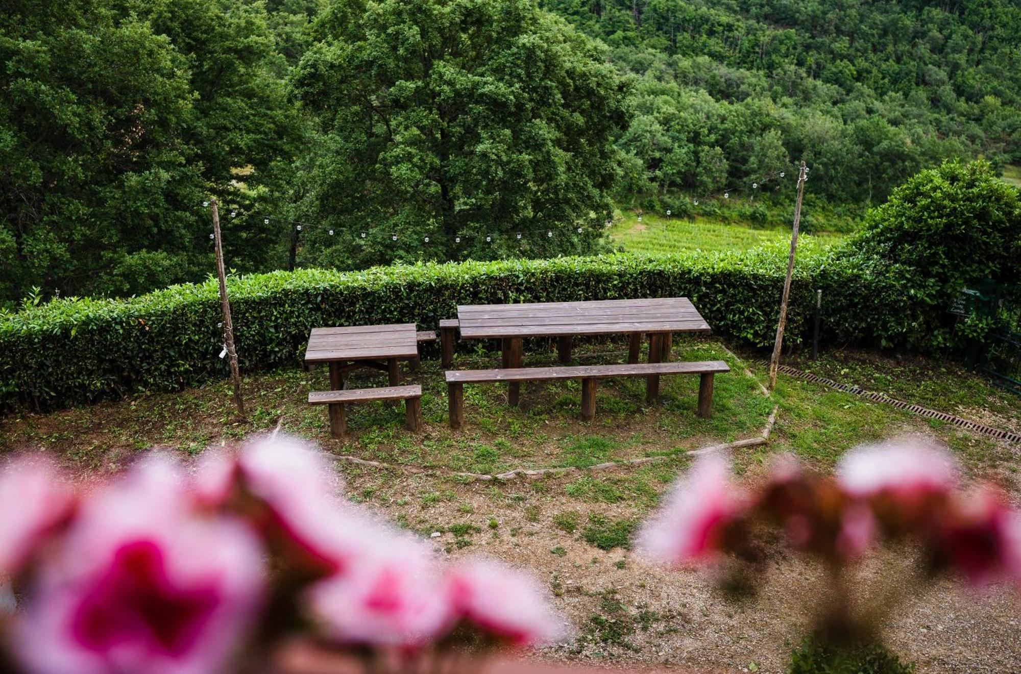 Rifugium Guest House Greve in Chianti Exterior photo
